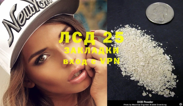 трава Бородино