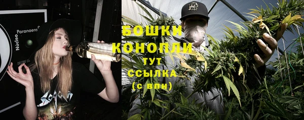 трава Бородино