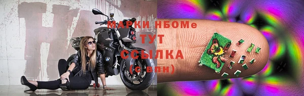 трава Бородино